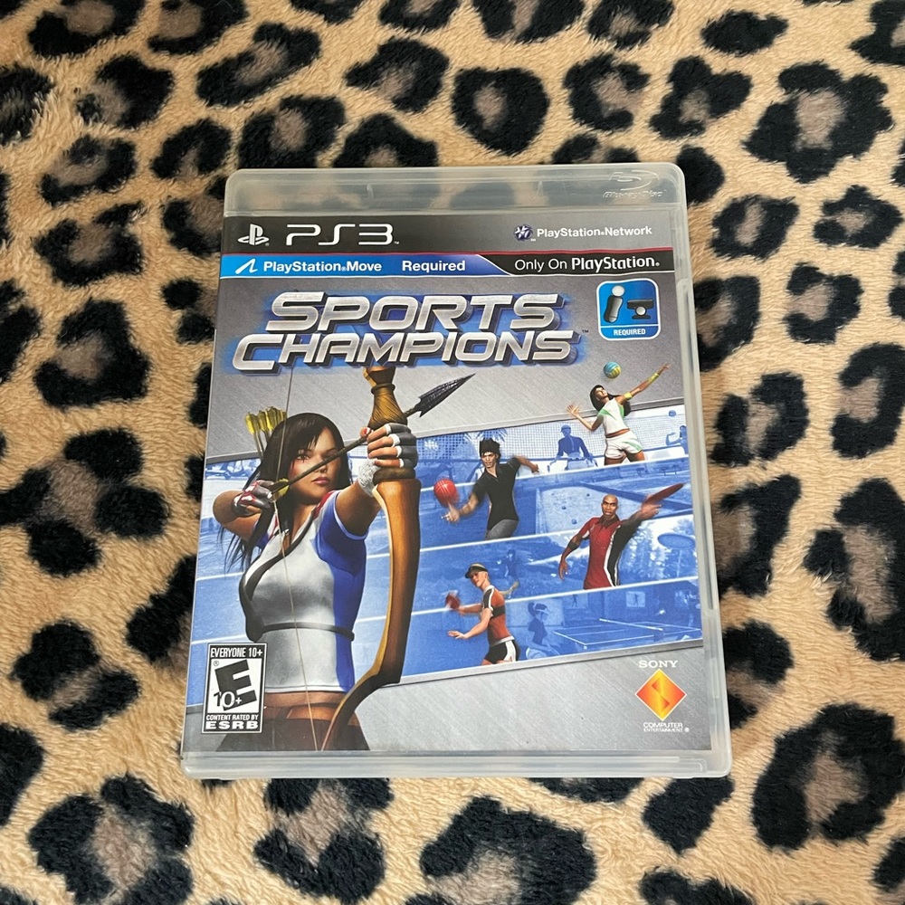 Sports champion